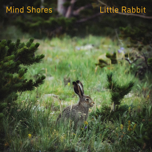 日日操夜夜操天天操
