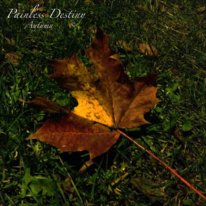 日日操夜夜操天天操
