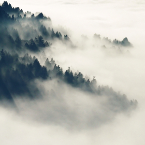 日日操夜夜操天天操
